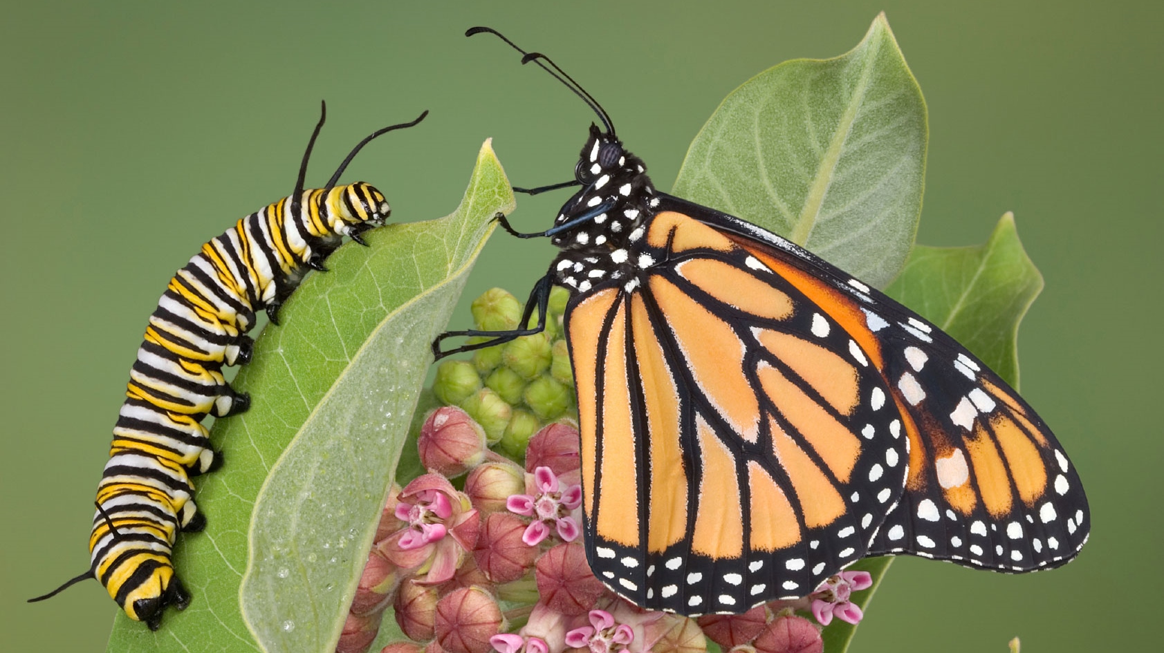 Cruise Control Resetting Our Heading His Place Community Church